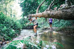 BIB: 
                            <button type="button" onclick="openModal(25437134)" class="btn btn-primary btn-sm float-right btn-popup" data-toggle="modal" data-target=".modal-high-quality">
                        <i class="fas fa-shopping-cart"></i> Add to Cart
                    </button>
                                            <button type="button" onclick="isThisMe(25437134, true)" class="btn btn-success btn-sm float-right btn-popup btn-isme hidden" data-toggle="tooltip" data-placement="bottom" title="นี่คือรูปของคุณใช่ไหม คลิกที่นี่เพื่อเอาเข้าอัลบั้ม">
                        <i class="fas fa-plus"></i> Add to album
                    </button>
                    <button type="button" onclick="isThisMe(25437134, false)" class="btn btn-warning btn-sm float-right btn-popup btn-isnotme hidden">
                        <i class="fas fa-ban"></i> Remove from album
                    </button>